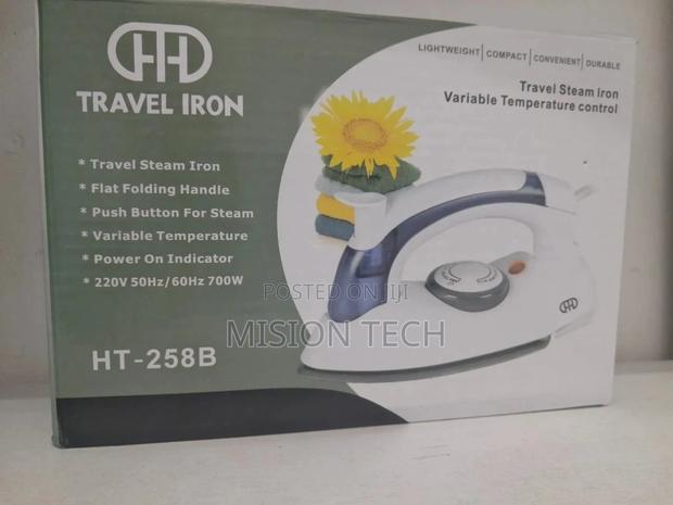 Electric Steam Iron - main view