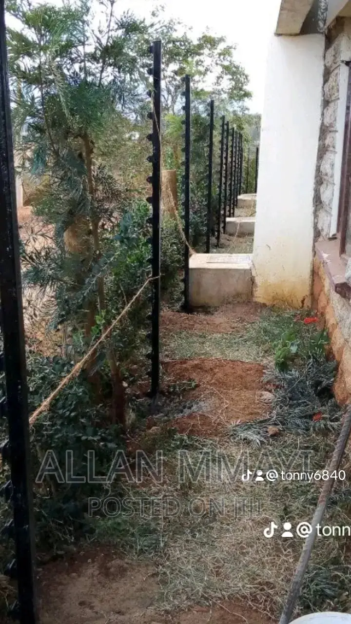 Electric Fence/Solar Lights