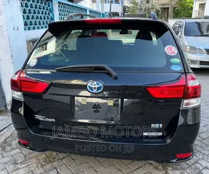 Toyota Corolla Fielder 2017 Black