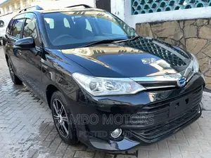 Toyota Corolla Fielder 2017 Black