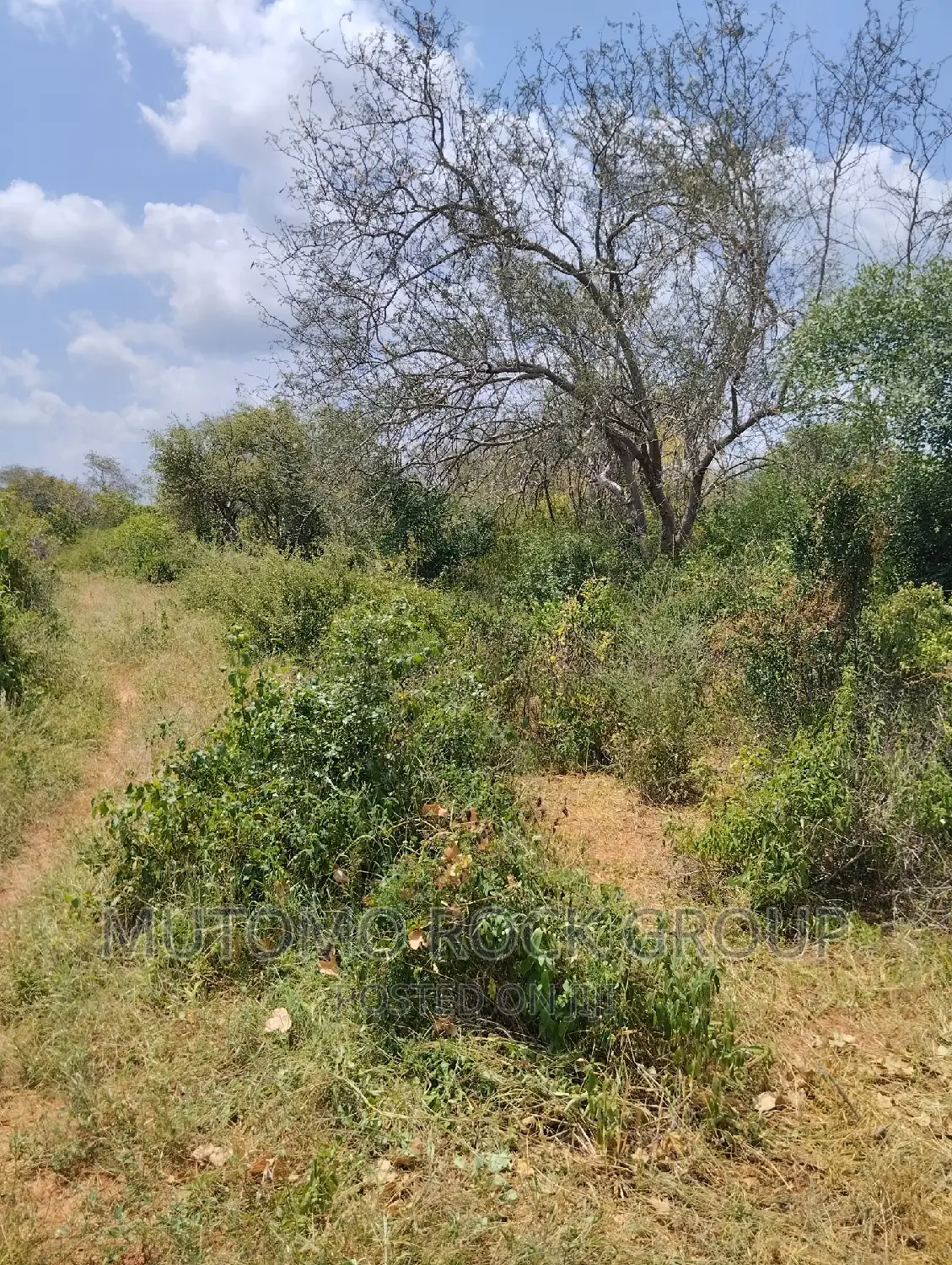 3080acres For Sale
