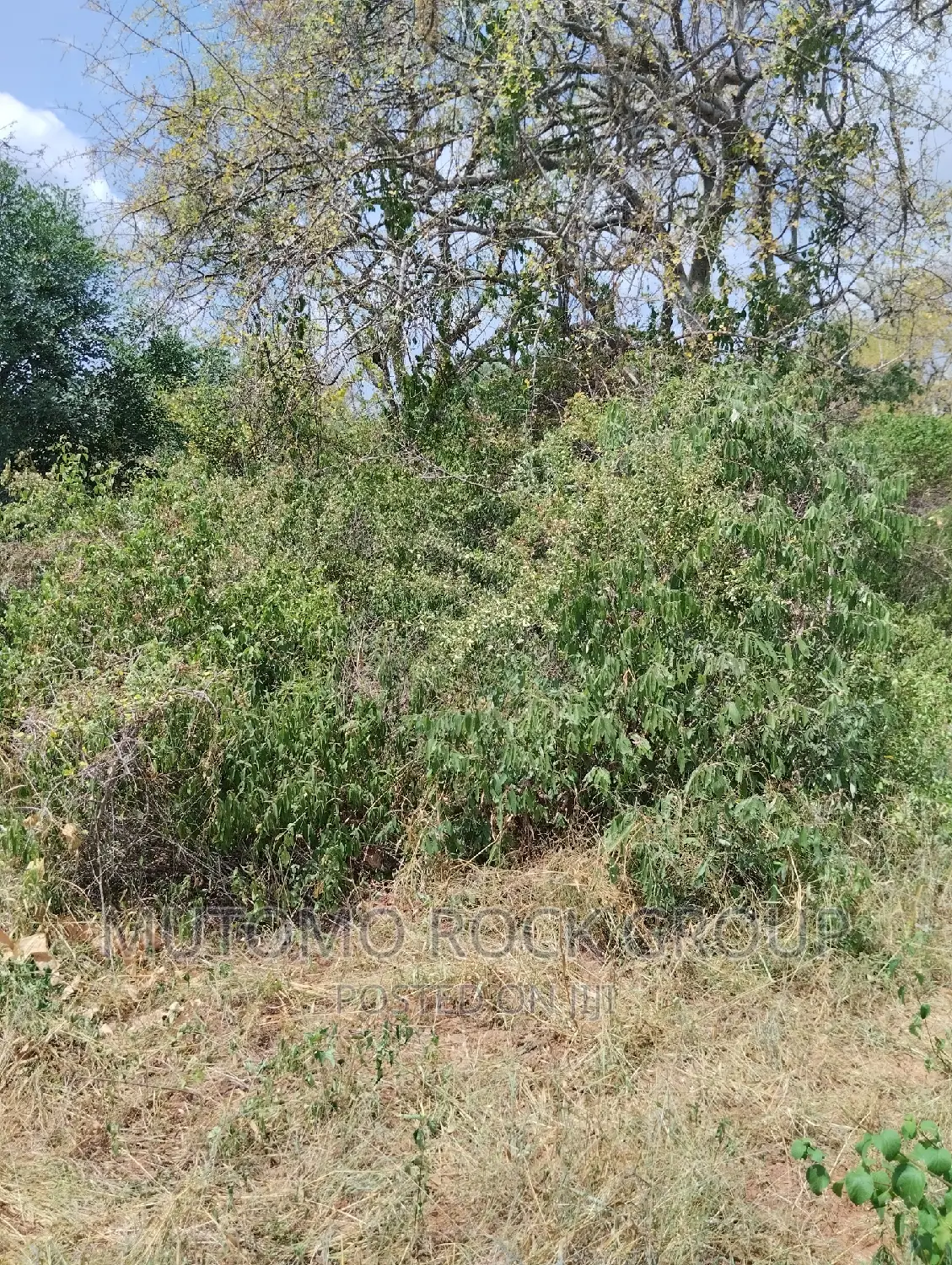 3080acres For Sale