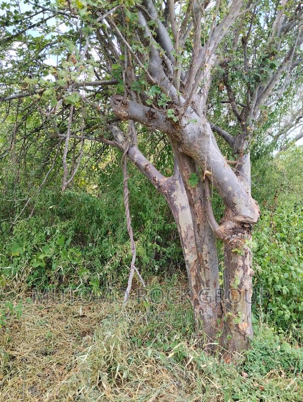 3080acres For Sale - thumbnail 4