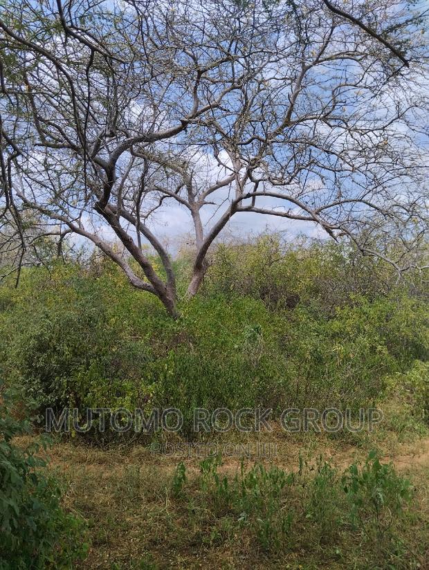 3080acres For Sale - thumbnail 5