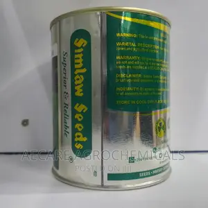 PENNCROSS BENTGRASS LAWN (Golf , Carpet Grass) 250 Grams