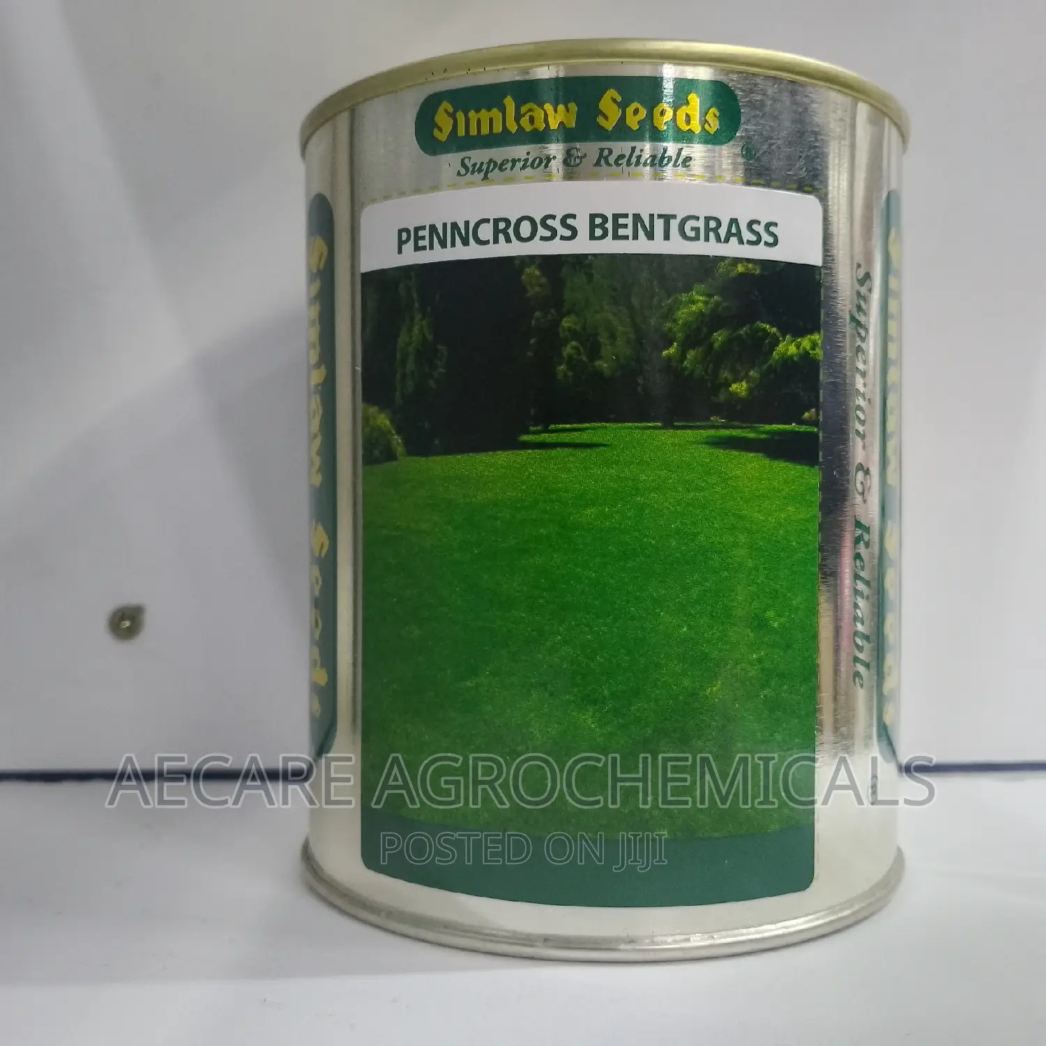 PENNCROSS BENTGRASS LAWN (Golf , Carpet Grass) 250 Grams