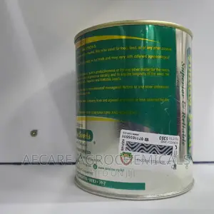 PENNCROSS BENTGRASS LAWN (Golf , Carpet Grass) 250 Grams