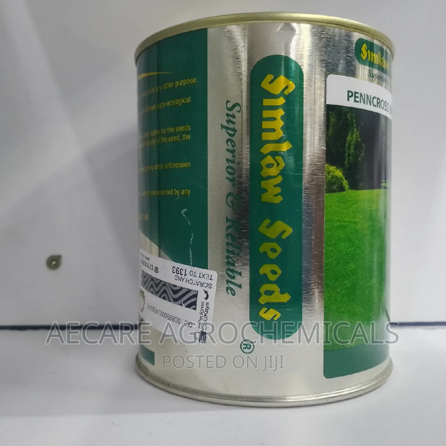 PENNCROSS BENTGRASS LAWN (Golf , Carpet Grass) 250 Grams