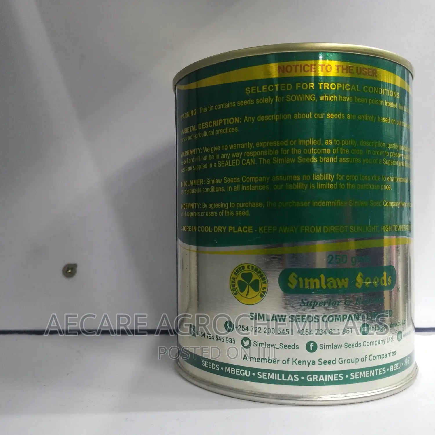 PENNCROSS BENTGRASS LAWN (Golf , Carpet Grass) 250 Grams