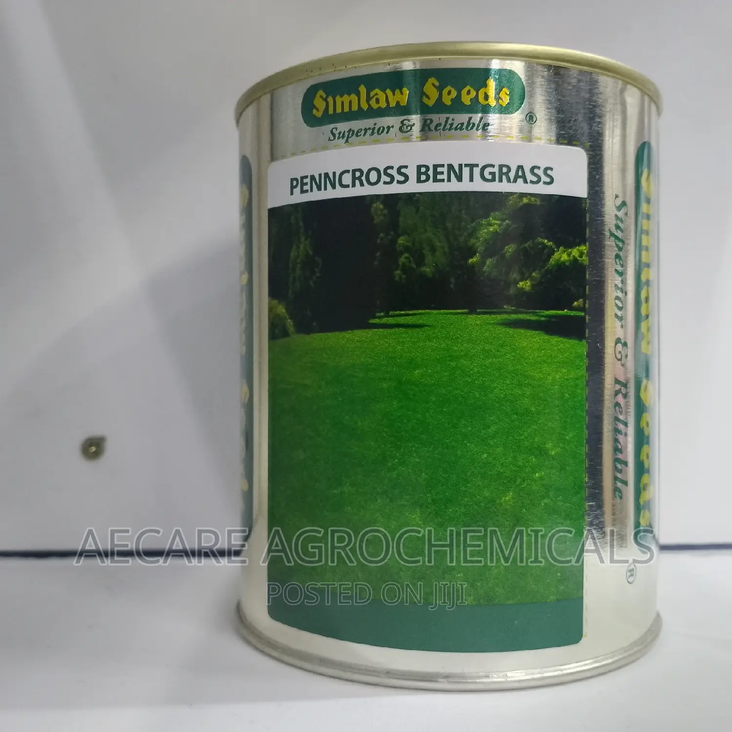 PENNCROSS BENTGRASS LAWN (Golf , Carpet Grass) 250 Grams