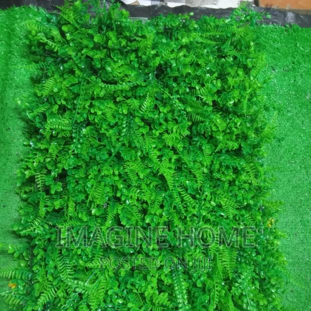 High Density Wall Hedge