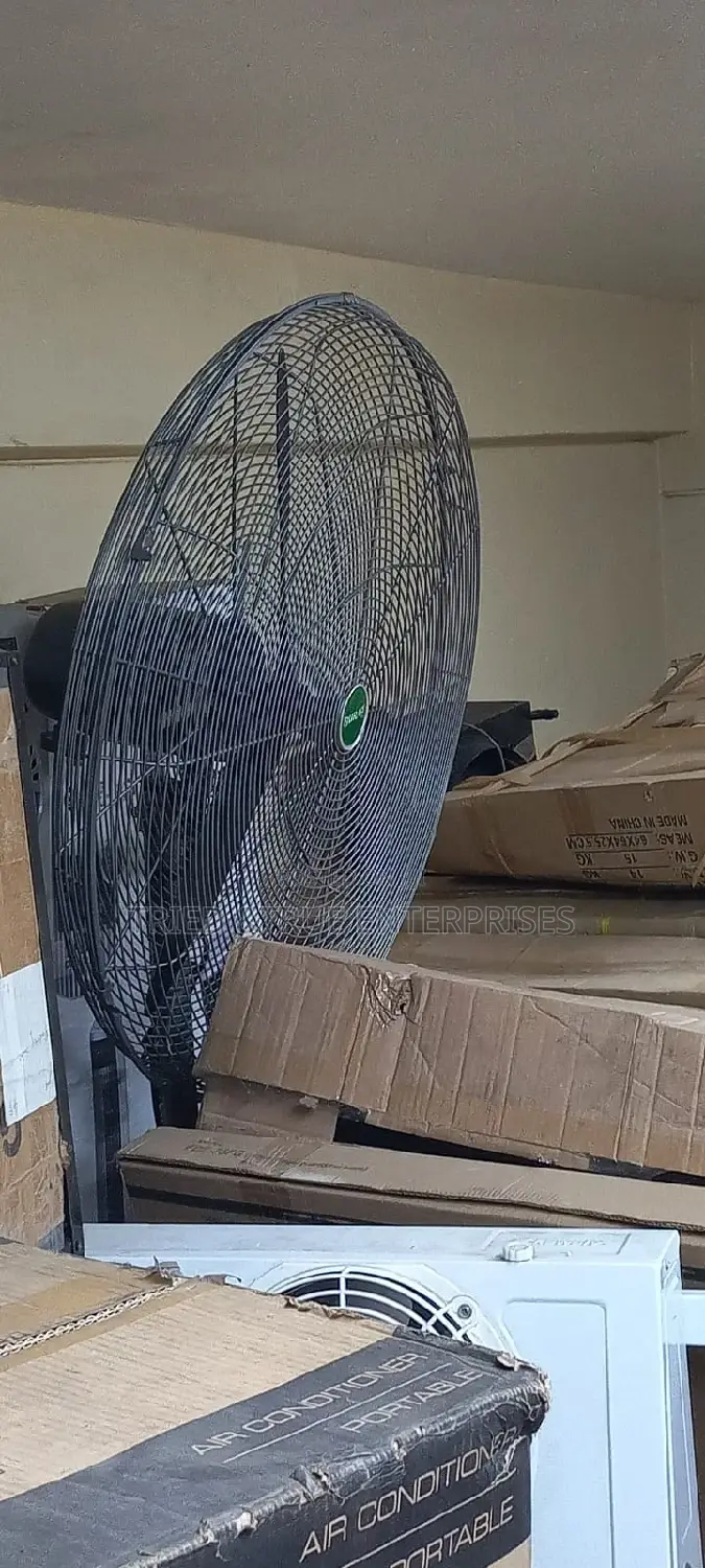 30" Wall Fun