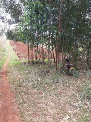 0.7 Acre Land on Sale in Kikuyu Kwa Mindo Near Karlo Muguga - thumbnail 2
