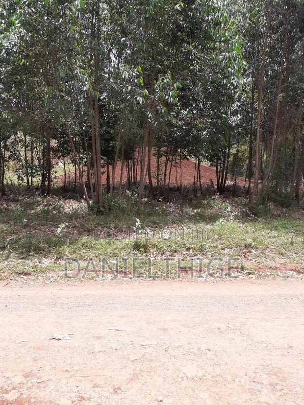 0.7 Acre Land on Sale in Kikuyu Kwa Mindo Near Karlo Muguga - thumbnail 5