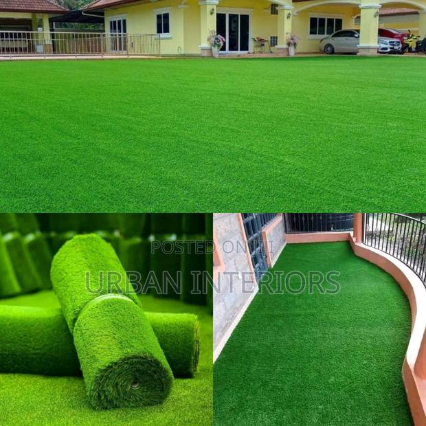 Grass Carpet Grass Carpet Grass Carpet Grass Carpet - main view