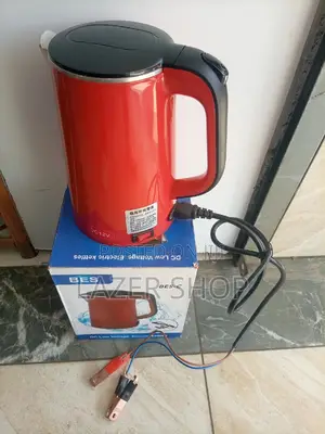 DC Low Voltage Electric Kettle