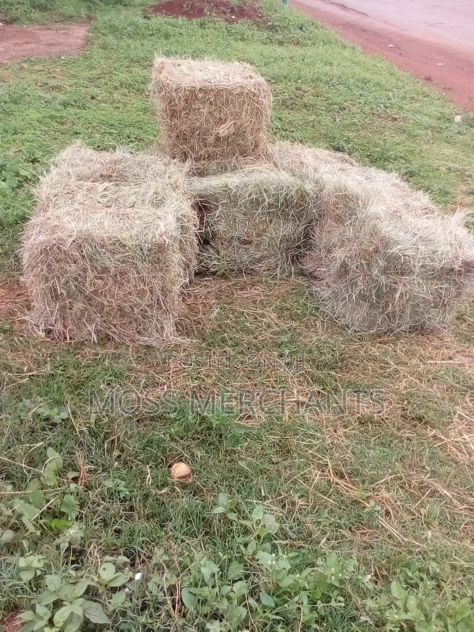 Hay Bales Stack For Event Decor In Kiambu Kileleswa Lavington