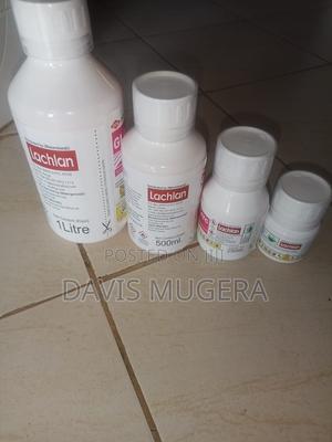 Original Gladiator Pesticide for Termites Control -500ml - thumbnail 2