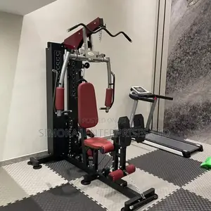 Ds 916 2 Station Compact Multi Gym