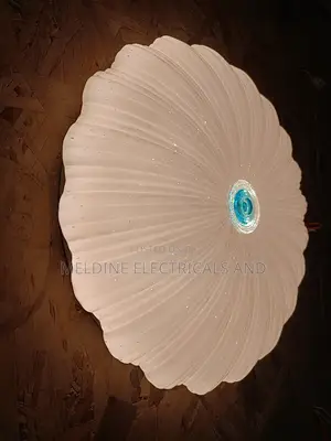36watts Ceiling Light