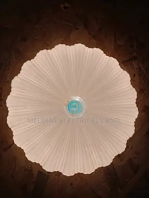 36watts Ceiling Light