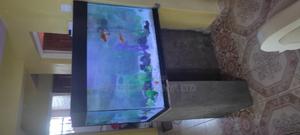 Relaxing Aquariums - thumbnail 2