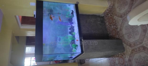 Relaxing Aquariums - main view