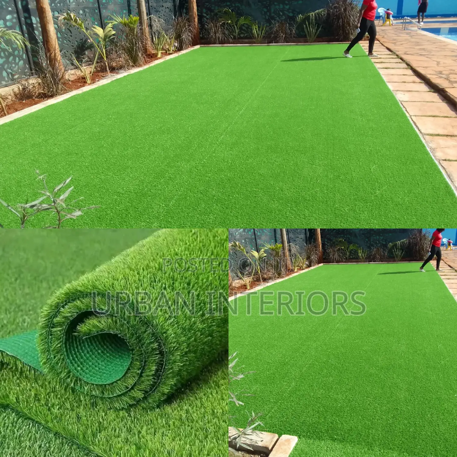 Grass Carpet Grass Carpet Grass Carpet Grass Carpet
