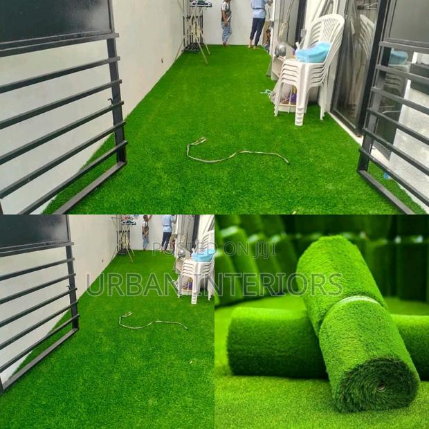 Grass Carpet Grass Carpet Grass Carpet Grass Carpet