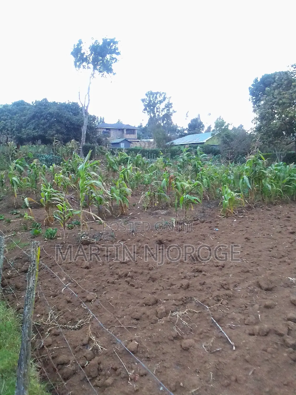 50 by 100 Mwiciringiri