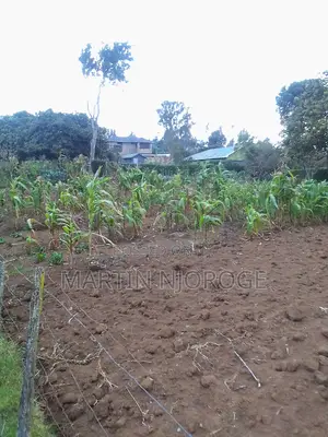 50 by 100 Mwiciringiri