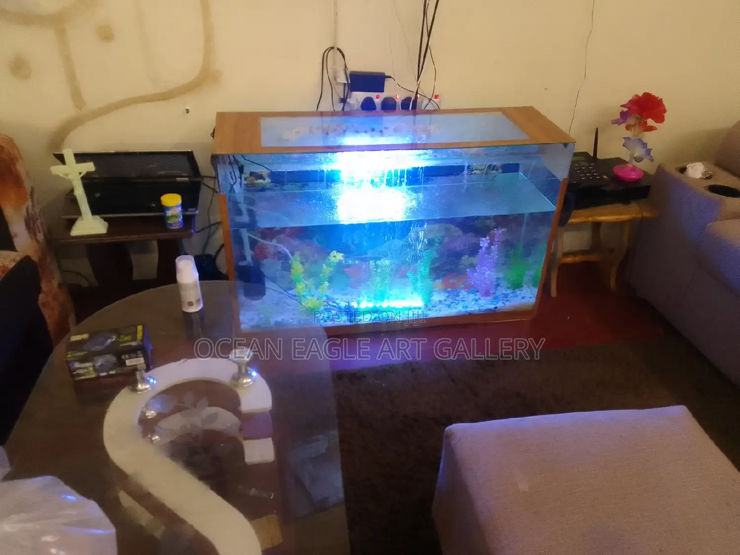 Ocean Eagle Aquariums