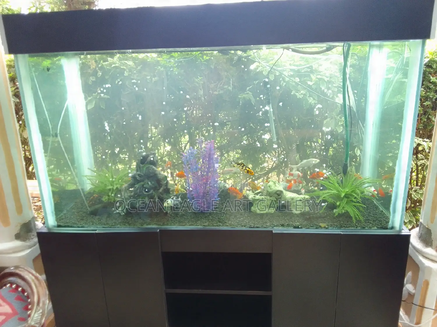 Ocean Eagle Aquariums