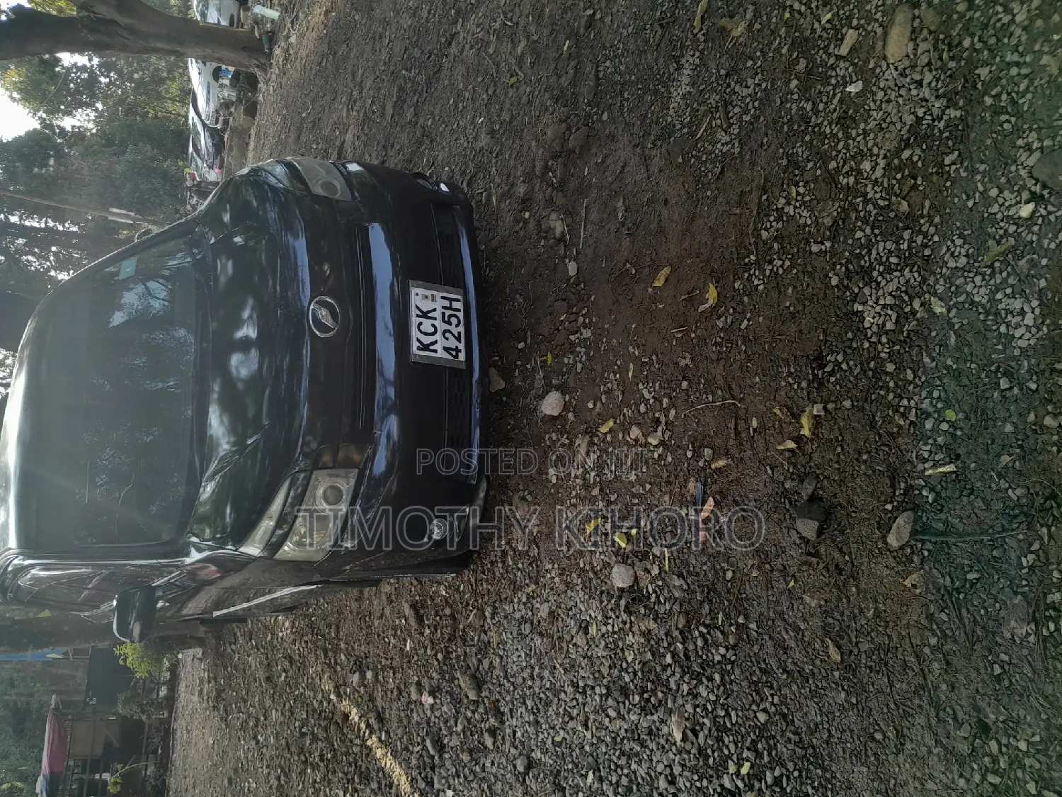 Car Hire Services