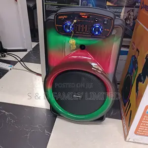Premier 15 Inches Rechargeable Powered Speaker With 2 Mics