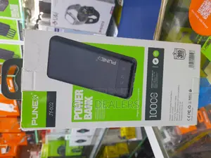 10000mah Fast Charge Punex Power Bank
