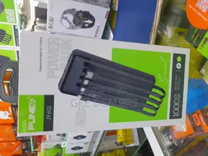 10000mah Fast Charge Punex Power Bank