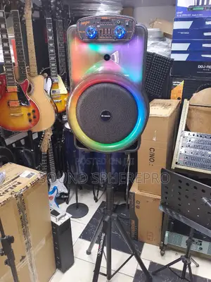 Premier 15inch Powered Plus Soundking Stand