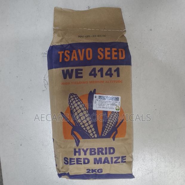 Maize Tsavo We 4141 2kg Seeds High Yielding Medium Altitude