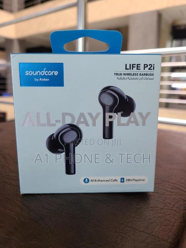 Soundcore Life P2i