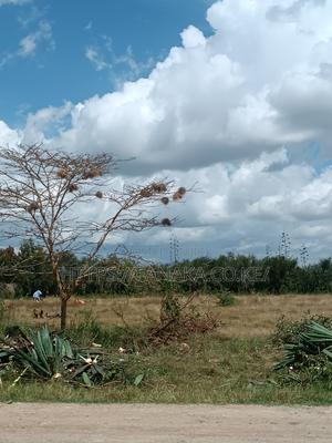 50*100 Malaa Plots at 599,000^AC - thumbnail 2