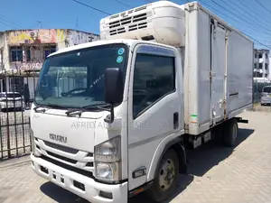 Isuzu Elf Freezer Body
