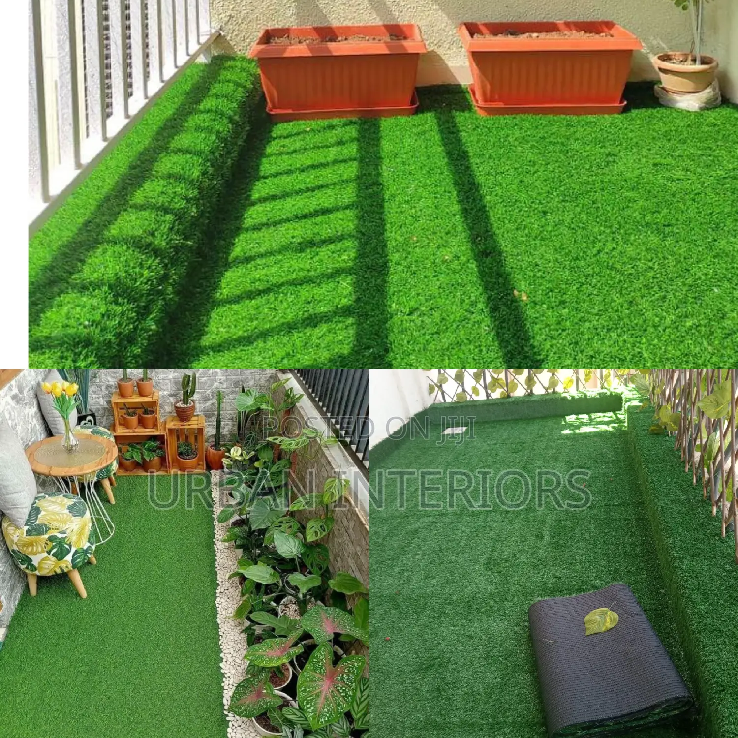 Grass Carpet Grass Carpet Grass Carpet Grass Carpet