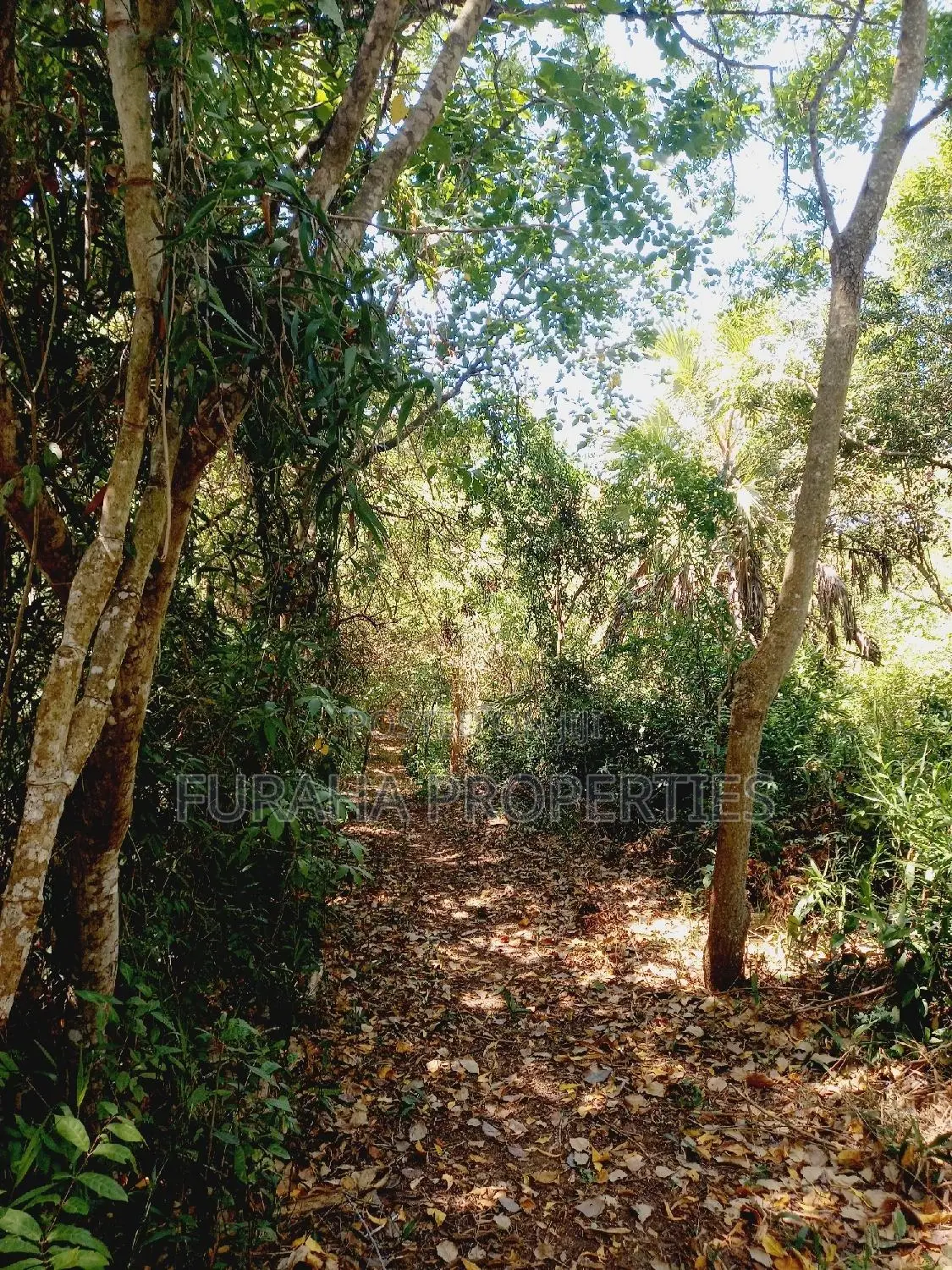 For Sale 8 Acres Creek and 4 BRMS Villa.