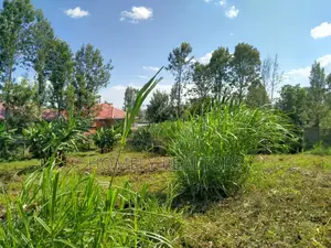 Commercial Eighth Acre Plot in Ongata Rongai, Ole Sakuda Rd