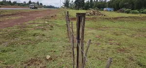 Commracial 1⁄4 Plot Touching Highway Kapseret Lemook Eldoret