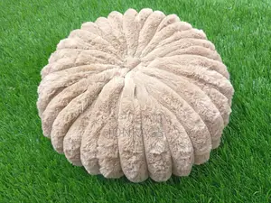 Sofa Throw Pillows