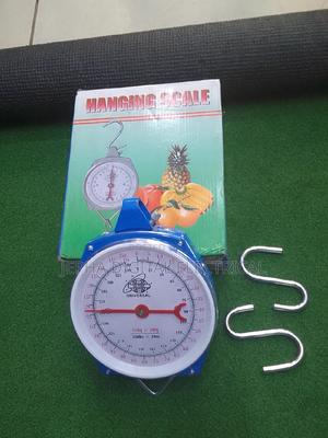 Durable 150kgs Hanging Scale - main view