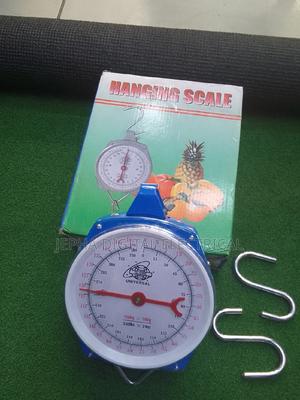 Commercial Hanging Weighing Scale - main view