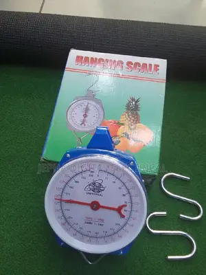 Commercial Hanging Weighing Scale